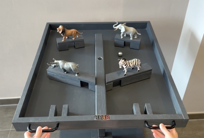 Hindernisbaan tijdspel safari